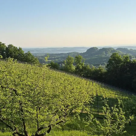 Daire Zum Caphenstain Gutendorf