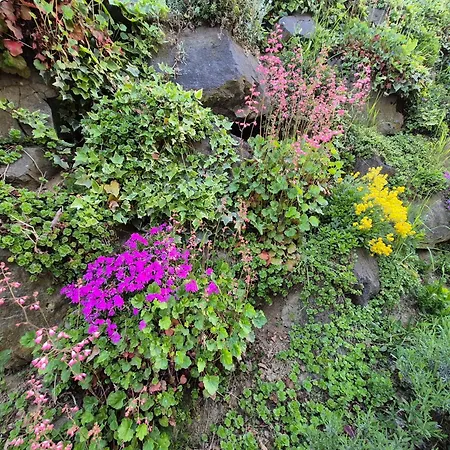 Zum Caphenstain * Gutendorf