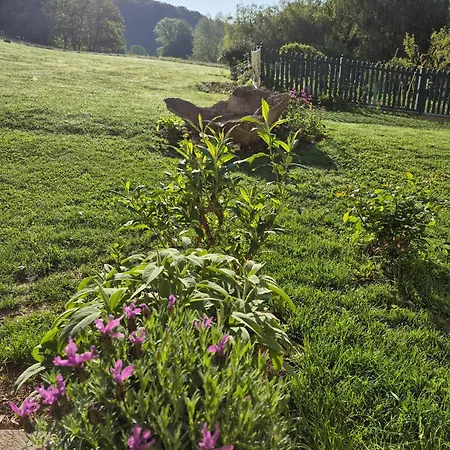 Zum Caphenstain Gutendorf