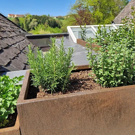 Apartamento Zum Caphenstain