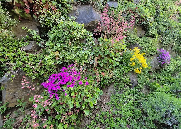 Zum Caphenstain * Gutendorf