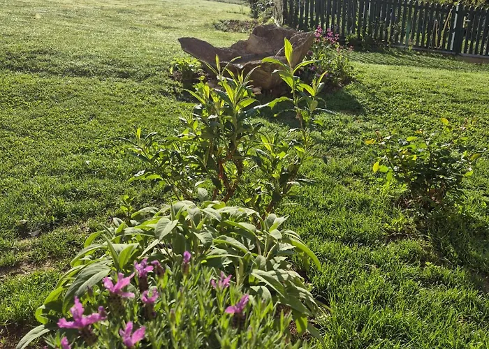 Zum Caphenstain Gutendorf