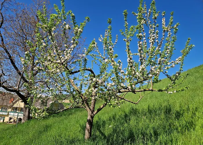 Apartament Zum Caphenstain *