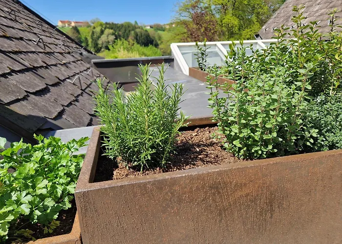 Apartament Zum Caphenstain