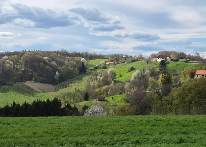 Zum Caphenstain 公寓