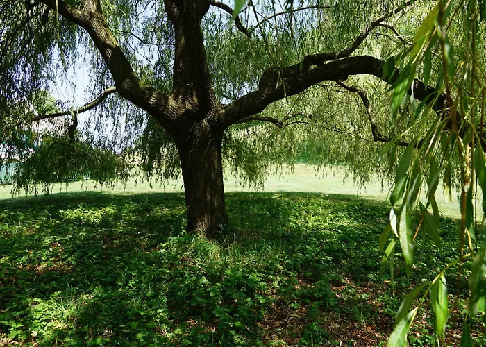 Zum Caphenstain Gutendorf